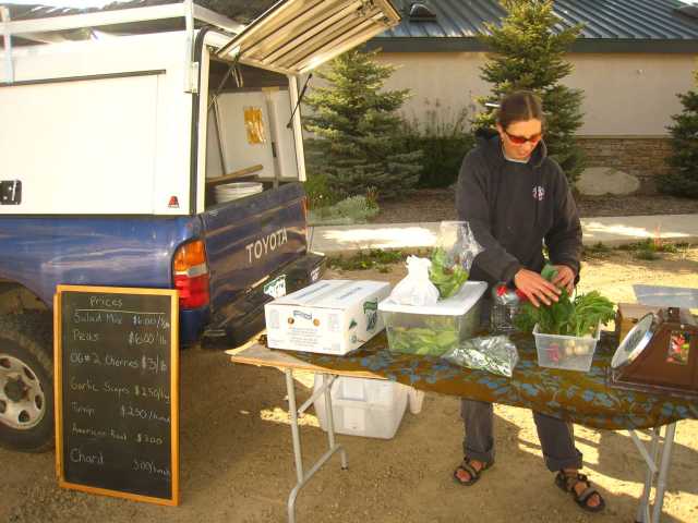 Robin Jones at the CB South farm stand, Wednesdays 4-7 pm