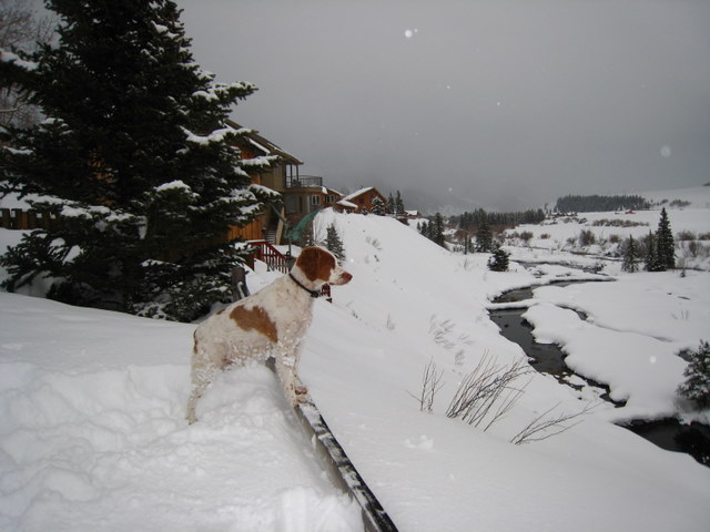 Duke sez, "Why stay inside on a nice day like today?"