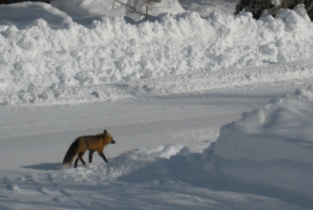 "got to get me some food!"