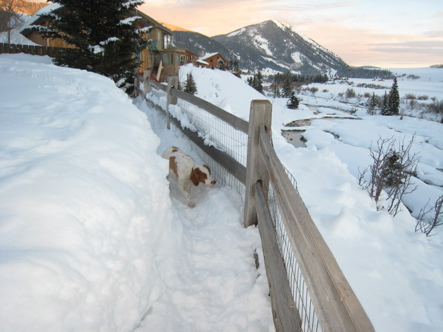 Duke in the moat thinks, "this isn't fair!"