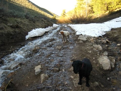 Walrod Gulch river